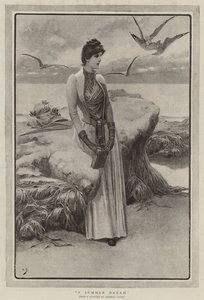 Un sogno estivo